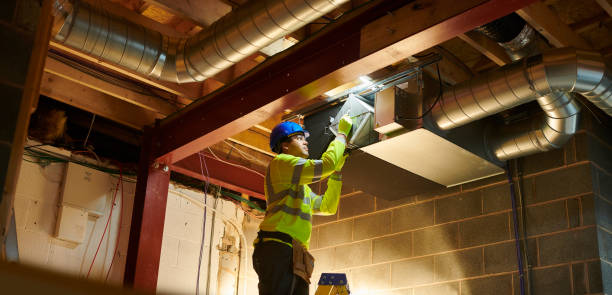 Best Air Duct Mold Removal  in Siesta Shores, TX
